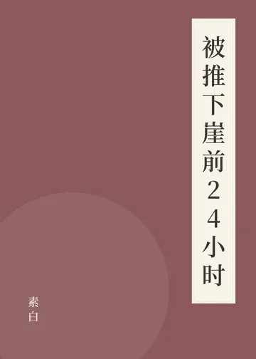 《被推下崖前24小时》书籍封面