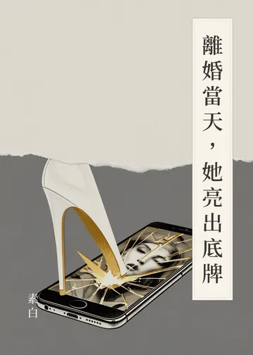 《離婚當天，她亮出底牌》書籍封面