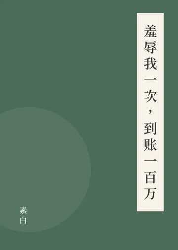 《羞辱我一次，到账一百万》书籍封面