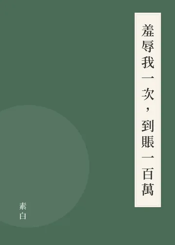 《羞辱我一次，到賬一百萬》書籍封面