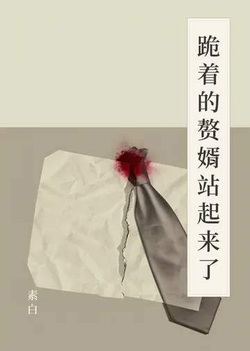 《跪着的赘婿站起来了》书籍封面