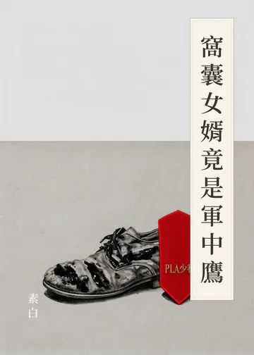 《窩囊女婿竟是軍中鷹》書籍封面